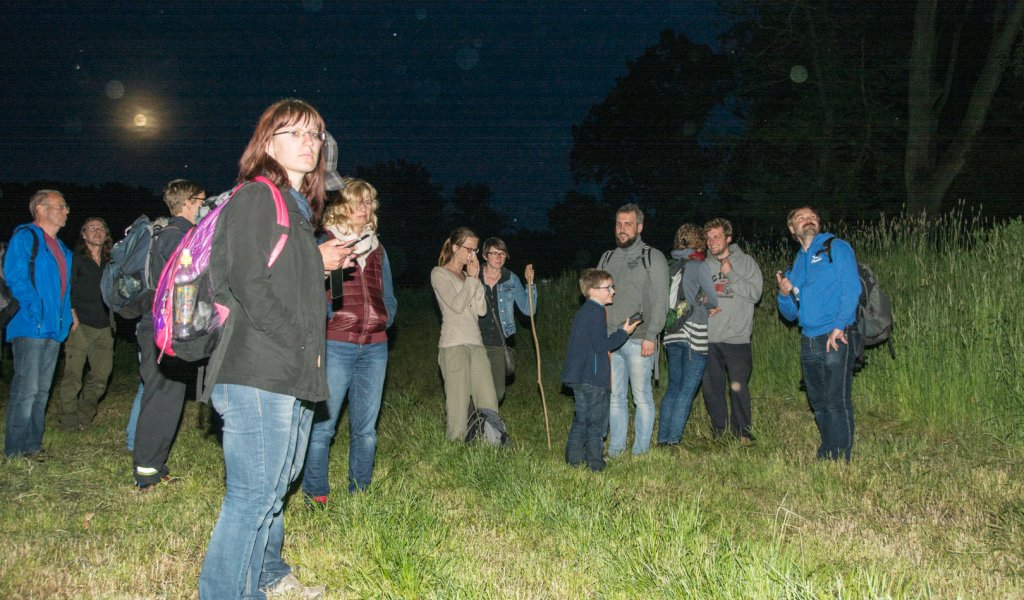 Fledermausbeobachtungen mit Andreas Woiton | Foto: 