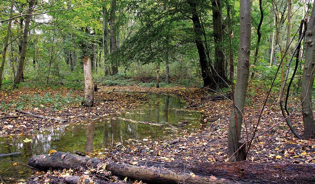 Burgauenbach: Titelfoto zur Fachtagung 