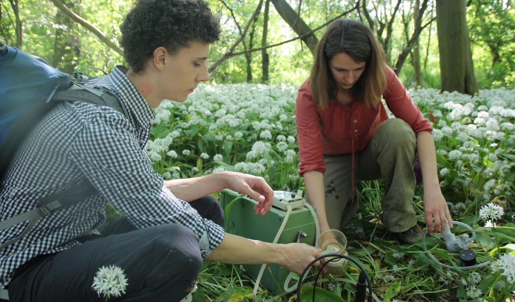 Grundwasserbeprobung im Projektgebiet der Lebendigen Luppe | Foto: Maria Vitzthum | NABU Sachsen