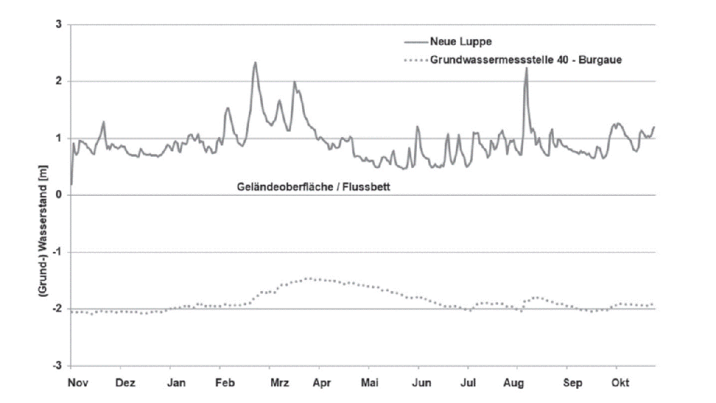 Grundwasserstand in der Burgaue und Oberflächenwasserstand in der Neuen Luppe für das hydrologische Jahr 2017 (Daten Lebendige Luppe – UFZ & Universität Leipzig, aus: Scholz et al. (2019)) | Grafik: UFZ