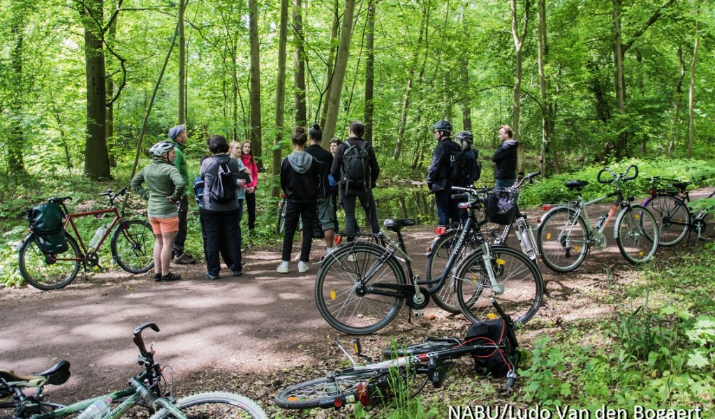 Radexkursion durch die Burgaue | Foto: Ludo Van den Bogaert