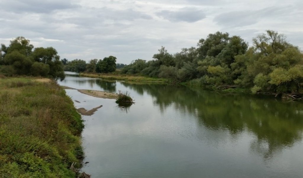 Mit Blick von der Jagsbrücke über die Mulde sind ein im Projektverlauf eingebrachter Raubaum, Sandbänke und weitere Elemente, die Vielfalt in den Flussverlauf bringen, zu entdecken. | Foto: Kathleen Burkhardt-Medicke