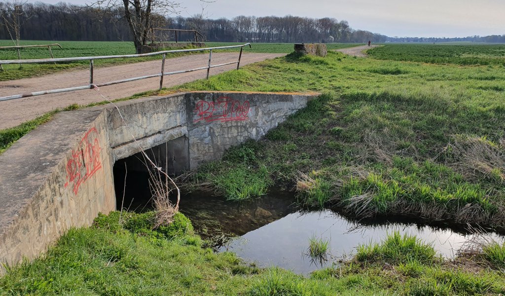 Der Zschampert fließt bereits heute ab dem Saale-Leipzig-Kanal zuerst Richtung Norden. Ab dem Grünen Winkel soll er demnächst wieder Richtung Westen in seinem historischen Bett verlaufen. | Foto: Kathleen Burkhardt-Medicke | NABU Sachsen