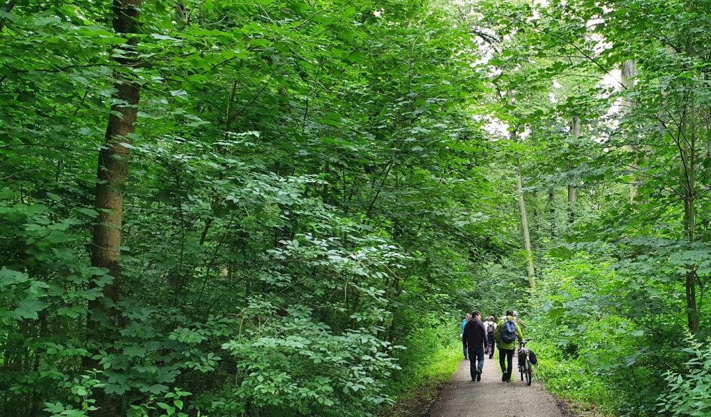 Während der Exkursion durch die Burgaue gab es einen regen Informationsaustausch. | Foto: Kathleen Burkhardt-Medicke | NABU Sachsen