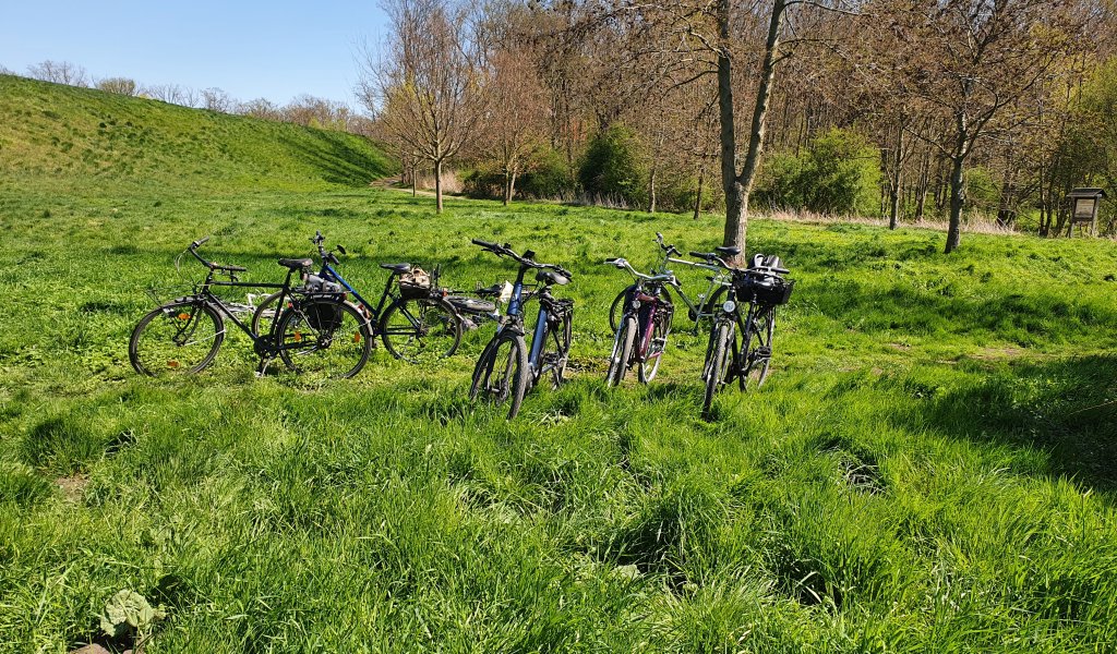 Radtour in der Zschampertaue | Foto: Kathleen Burkhardt-Medicke | NABU Sachsen