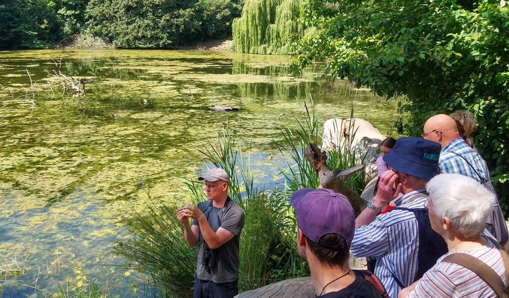 Marcus Held spricht überLibellen am Rosentalteich. | Foto: Philipp Steuer