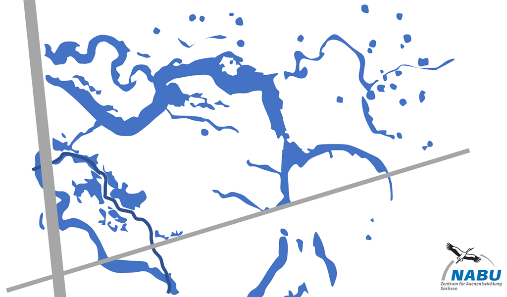Burgauenbach Flutungsflächen (Hellblau: Rinnen- und Senkensystem im Leutzscher Holz; dunkelblau: Burgauenbach) | Abb.: Maria Vlaic