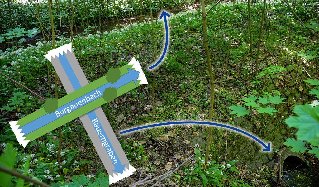 Burgauenbach kreuzt Bauerngraben | Foto: Karolin Tischer