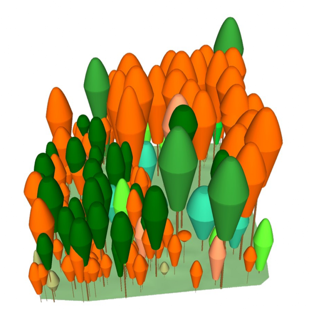 Auf vielen Flächen im Projektgebiet Lebendige Luppe lässt sich schon heute ein Bild des zukünftigen Auwaldes zeichnen: Bleiben Überschwemmungen weiterhin aus, wird der Spitzahorn (in der Grafik orange dargestellt) die Hauptbaumart. Der Charakter der Hartholzaue geht so verloren.
 | Grafik: Hans Kasperidus