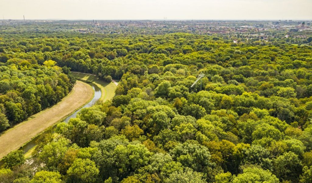 Blick über die Elster-Luppe-Aue | Foto: André Künzelmann | UFZ Leipzig
