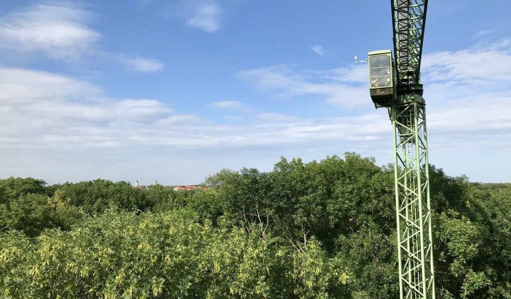 Forschungskran im Leipziger Auwald mit der das Ökosytsem Auenwald erforscht wird | Foto: Karin Lange | Universität Leipzig