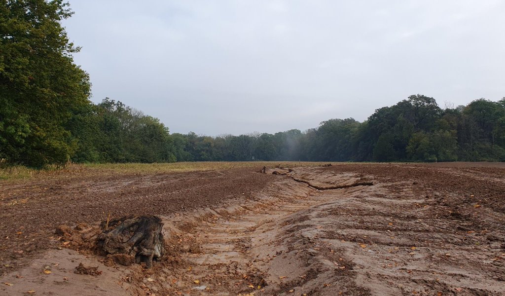 Das Gewässerbett des historischen und zukünftigen Zschampert verläuft nordöstlich von Kleinliebenau über Ackerland und Hartholz-Auenwald. | Foto: Kathleen Burkhardt-Medicke