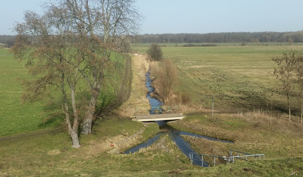 Der Zschampert vom Deich des Saale-Leipzig-Kanals aus mit Blick in Richtung Norden.  | Foto: Katheen Burkhardt-Medicke
