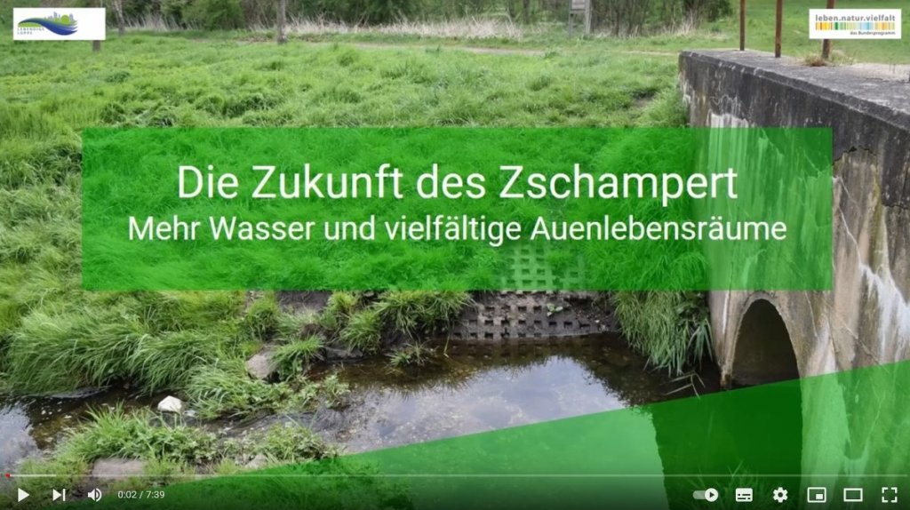 Startbild vom Video „Die Zukunft des Zschampert“, © Projekt Lebendige Luppe | Foto: Projekt Lebendige Luppe